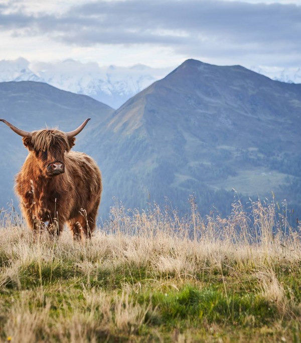 Autumn © saalbach.com, Daniel Roos