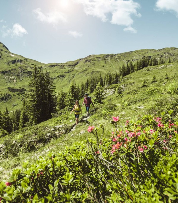 Breathtaking nature in Saalbach Hinterglemm, Austria © saalbach.com, Mia Knoll