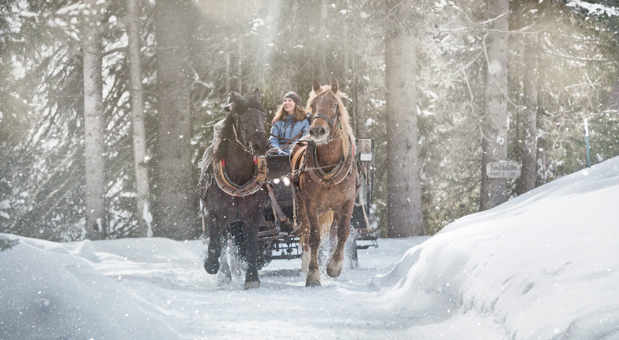 Horse-drawn sleigh in Saalbach Hinterglemm © saalbach.com, Mirja Geh