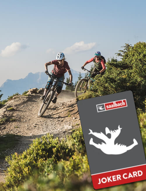 Bike holiday &copy; saalbach.com / Mia Knoll