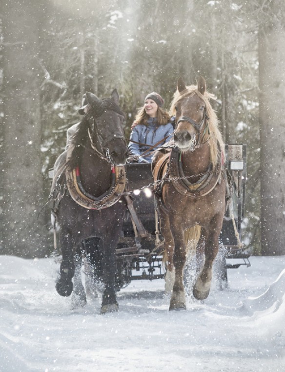 Horse-drawn sleigh © saalbach.com, Mirja Geh